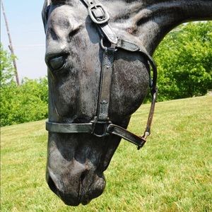 Meet your Posher, Abigail